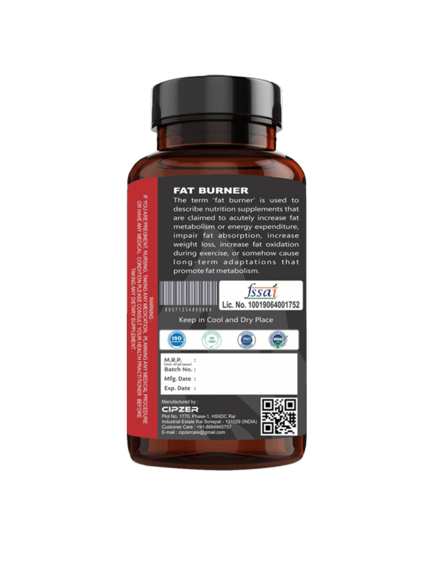 Best Fat Burner Supplement Buy Fat Burner Capsules in India 2021